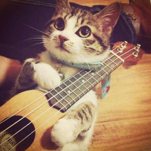 印度一级特黄AAAAA片
